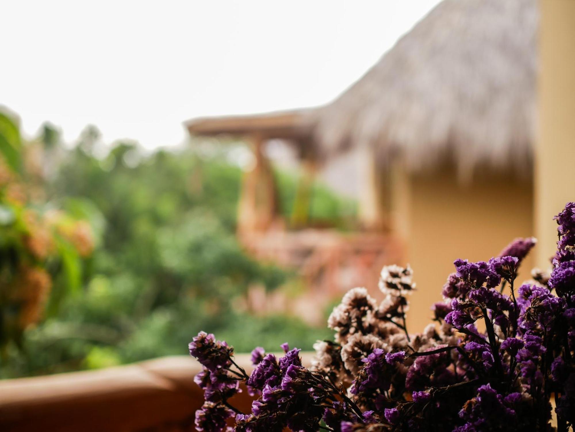 Carpe Diem Casitas & Villas Масунте Номер фото